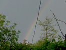 14052010017