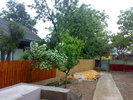 28052010077