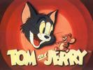 Tom and Jerry  (16)