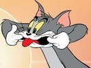 Tom and Jerry  (17)