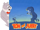 Tom and Jerry  (26)