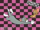 Tom and Jerry  (53)