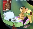 Tom and Jerry  (78)