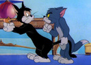 Tom and Jerry  (85)