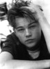 Leonardo DiCaprio (33)