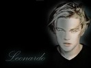 Leonardo DiCaprio (35)