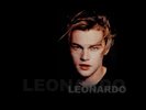 Leonardo DiCaprio (39)