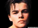 Leonardo DiCaprio (47)