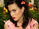 Katy Perry (11)