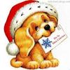 images (4)