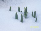 100_5855
