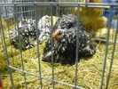P1060057