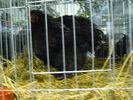 P1060058
