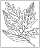 fallleaves