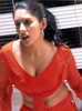 zaara (34)