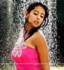 zaara (3)