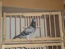DSC01730