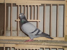 DSC01732