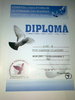 diploma
