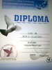 diploma