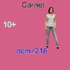 carnet demz218