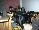DSC00007