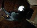 DSC00002
