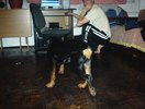 DSC00003