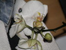 P4101535