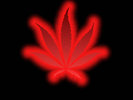 red-pot-leaf-wallpaper-marijuana-235749_1024_768[1]