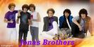 jonasbanner
