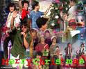 merrychritmasjonas