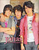 TheJonasBrothers