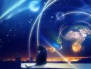 Free 3D Wallpapers Cats Animals Freedom Wallpaper