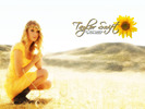 Beautiful-Taylor-taylor-swift-16542678-1024-768