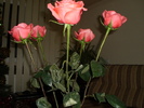 PC010115