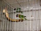 HPIM3300