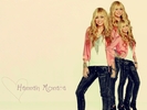Hannah-Montana-Wallpapers-hannah-montana-16489286-1024-768