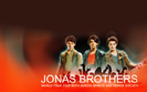 JoBros-Wallpaper-the-jonas-brothers-10051393-1000-625