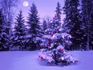 Christmas (33)