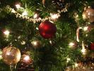 Christmas (34)