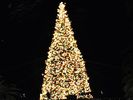 Christmas (36)