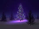 Christmas (46)