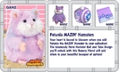 preview_petunia_hamster