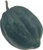 Ebony Acorn