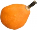 Papaya Pear F1