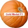 Gold Medal F1