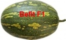 Befit F1