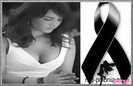 0079191631