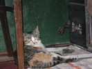 IMG_0939